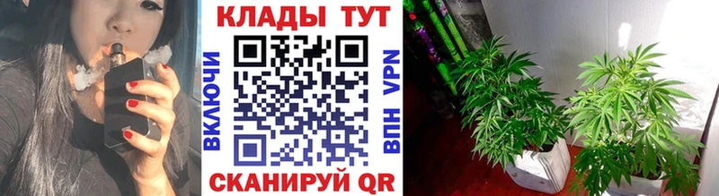 Купить наркотик Ветлуга ГАШ АМФ Мефедрон Конопля КОКАИН