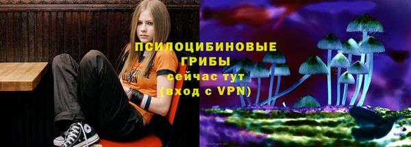 ECSTASY Осташков